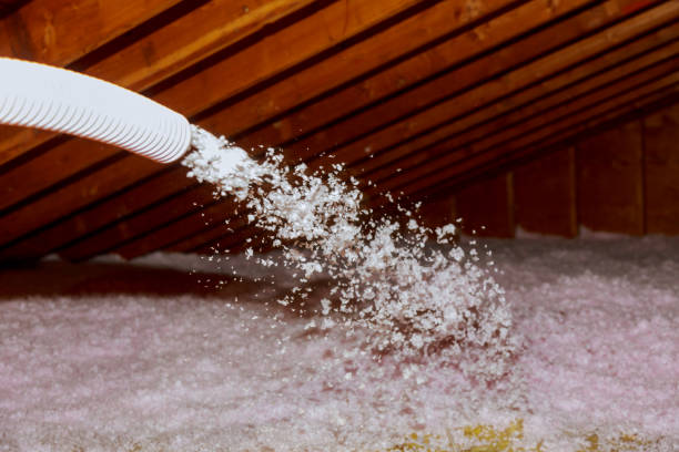 Best Residential Insulation in Kearny, AZ