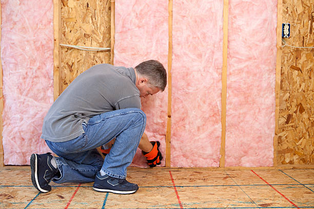 Best Types of Insulation in Kearny, AZ